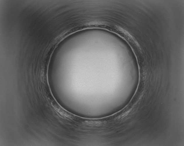 X0000083000825200702230124