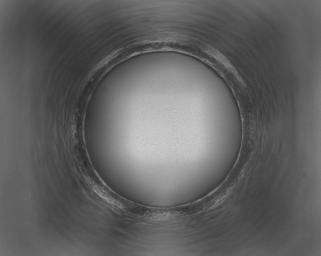 X0000083000826200702230124