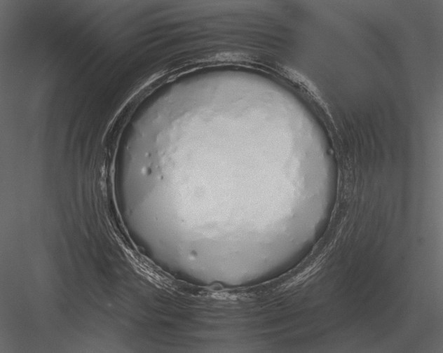 X0000083000827200702230124