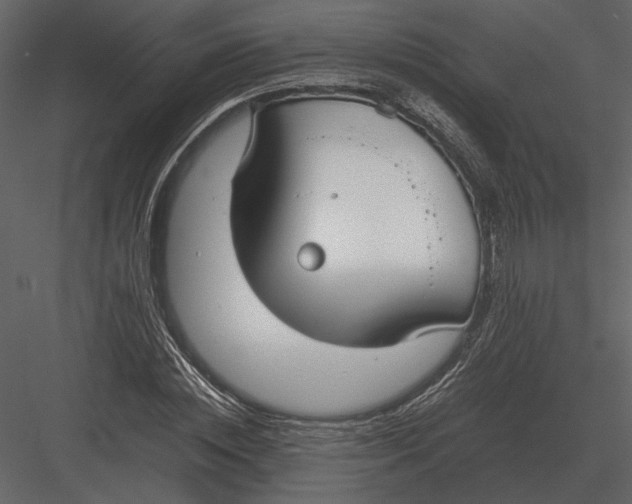 X0000083000828200702230124