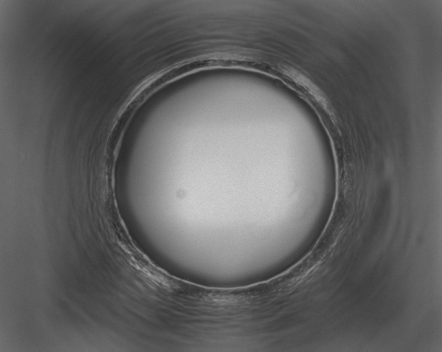 X0000083000829200702230124