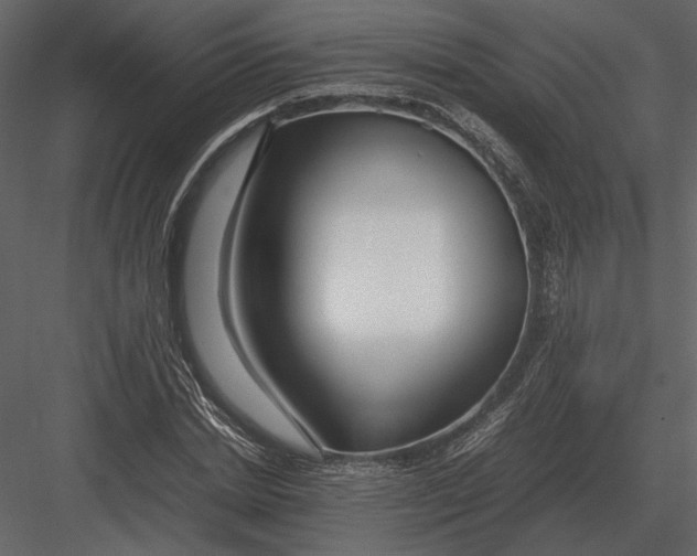 X0000083000830200702230124