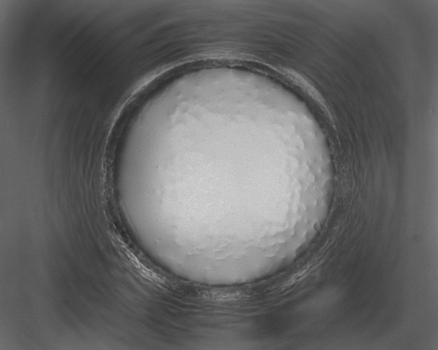 X0000083000831200702230124