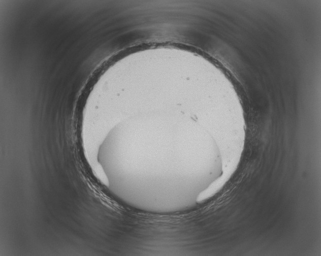 X0000083000832200702230124