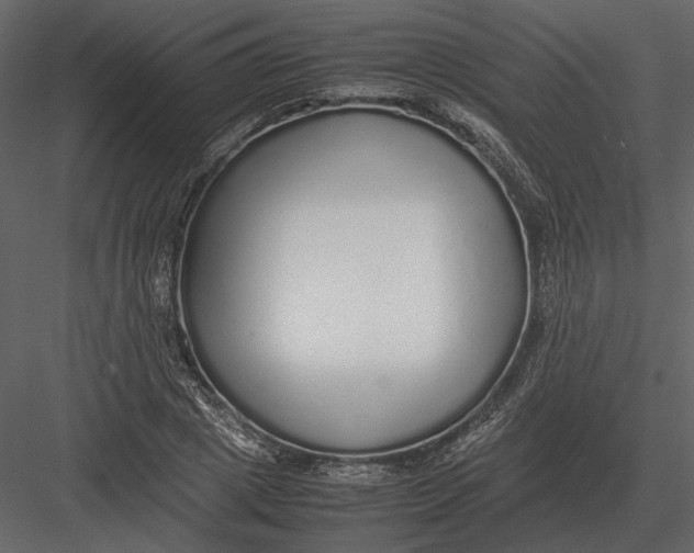 X0000083000833200702230124