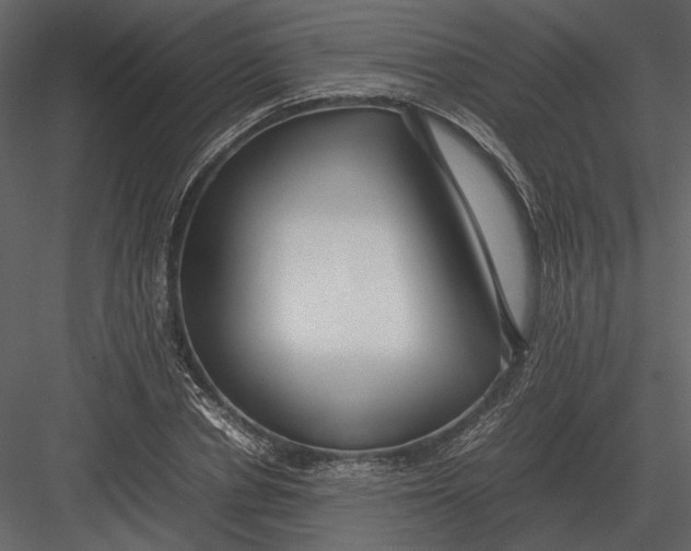 X0000083000834200702230124