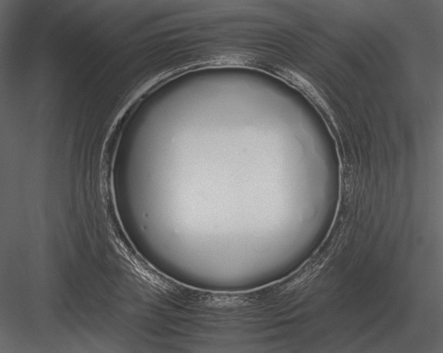 X0000083000835200702230124