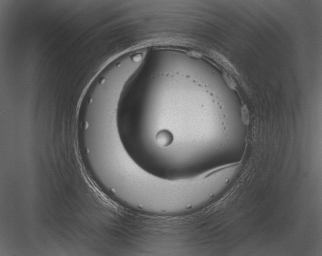 X0000083000836200702230124