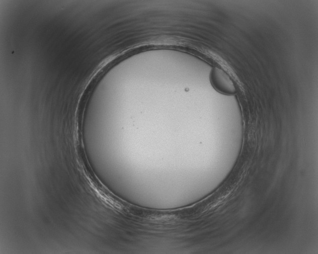 X0000083000837200702230124