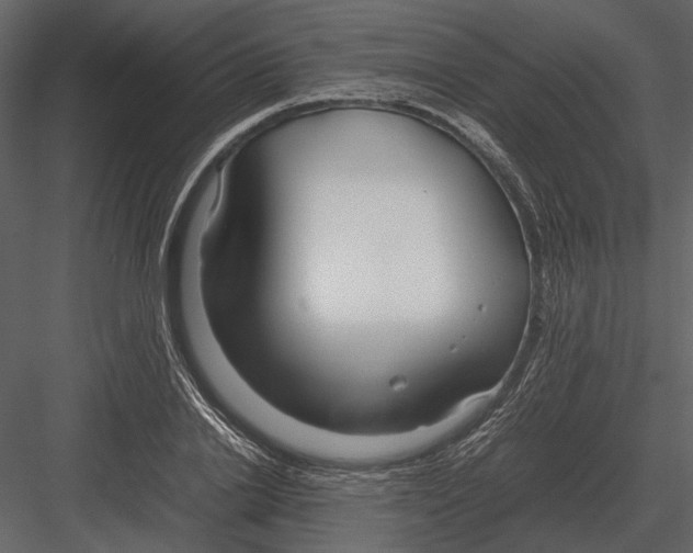 X0000083000838200702230124