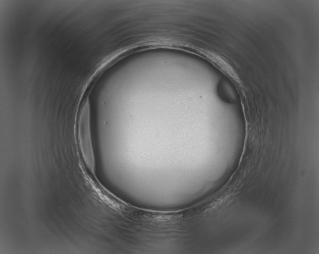 X0000083000839200702230124