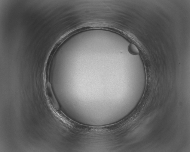 X0000083000840200702230124