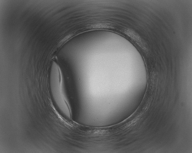 X0000083000841200702230124