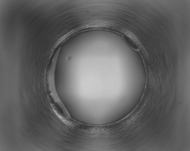 X0000083000842200702230124