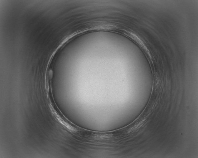 X0000083000843200702230124