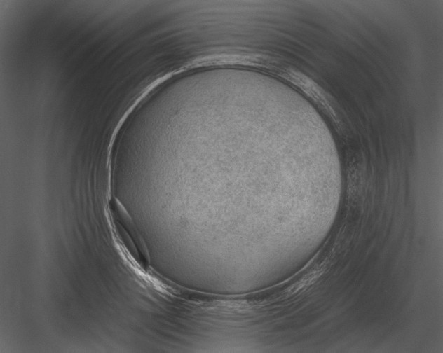 X0000083000844200702230124