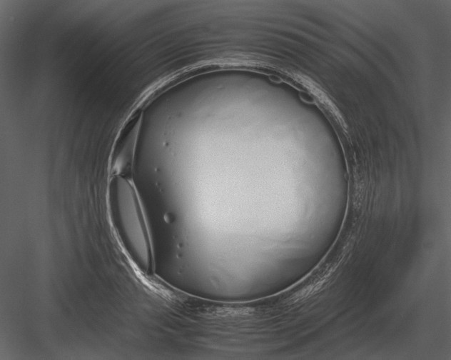 X0000083000845200702230124