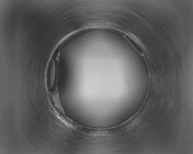 X0000083000846200702230124