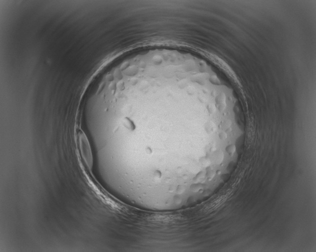 X0000083000847200702230125