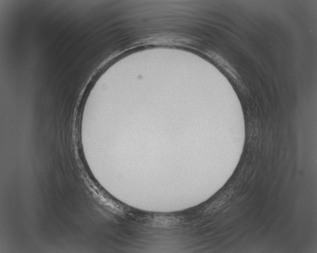 X0000083000848200702230125