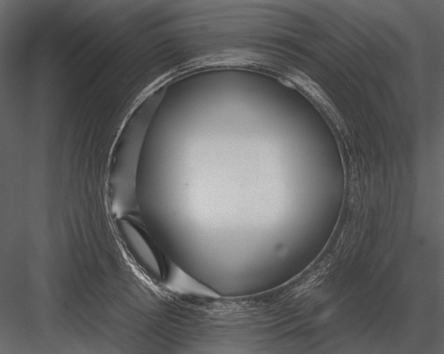 X0000083000850200702230125