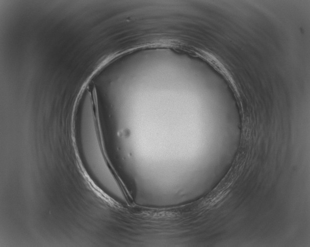 X0000083000851200702230125