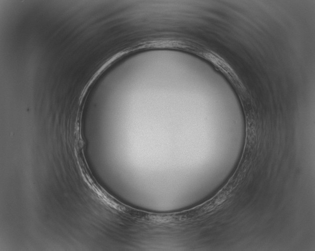 X0000083000852200702230125