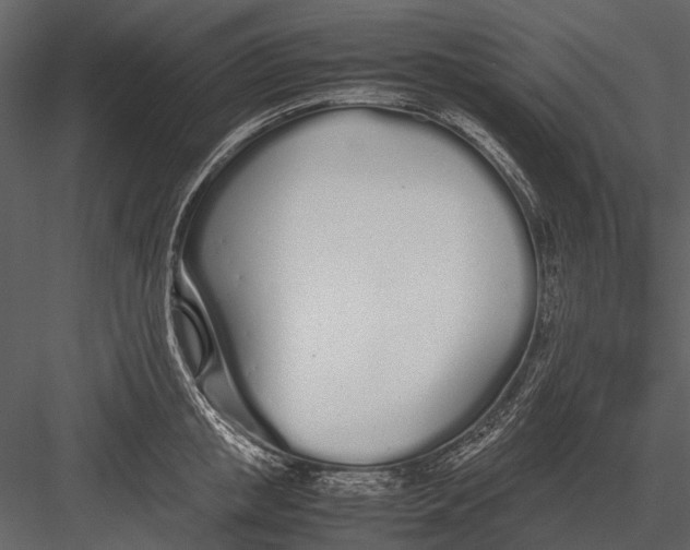 X0000083000853200702230125