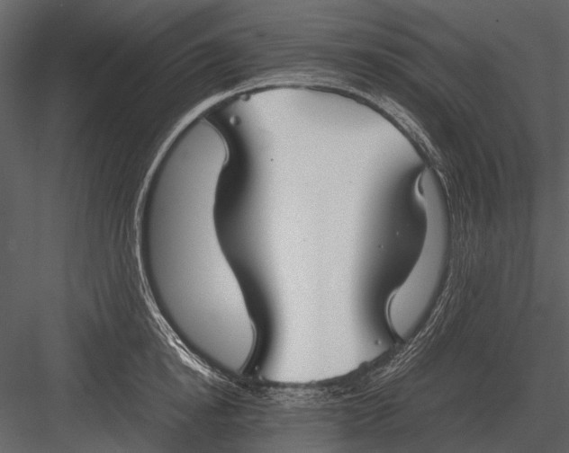 X0000083000854200702230125