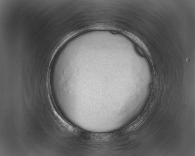 X0000083000855200702230125