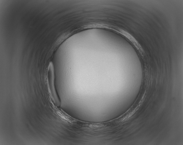 X0000083000857200702230125