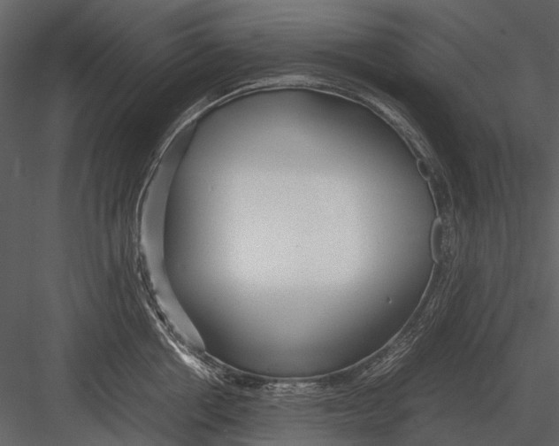 X0000083000858200702230125