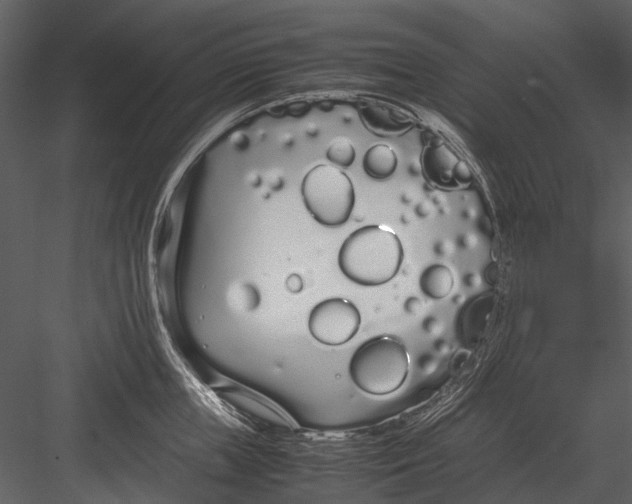 X0000083000859200702230125