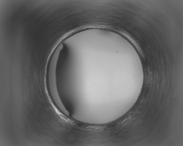 X0000083000861200702230125