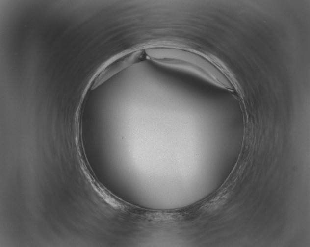 X0000083000862200702230125