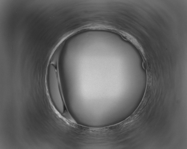 X0000083000863200702230125