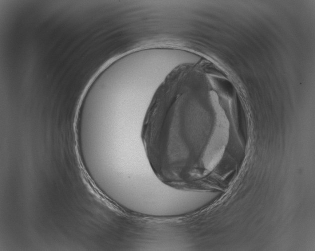 X0000083000864200702230125