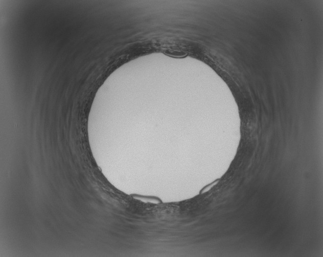 X0000083000865200702230124