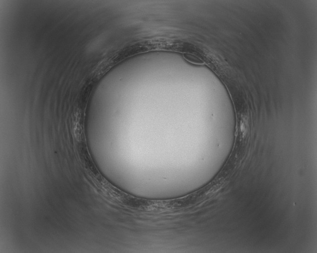 X0000083000867200702230124