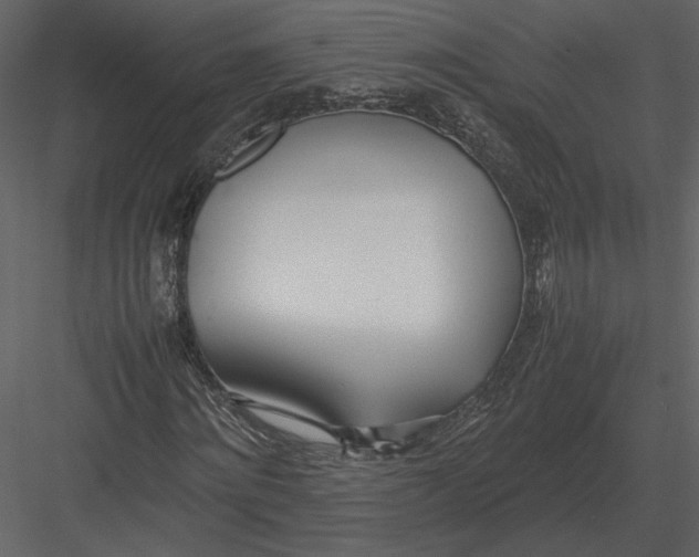 X0000083000868200702230124