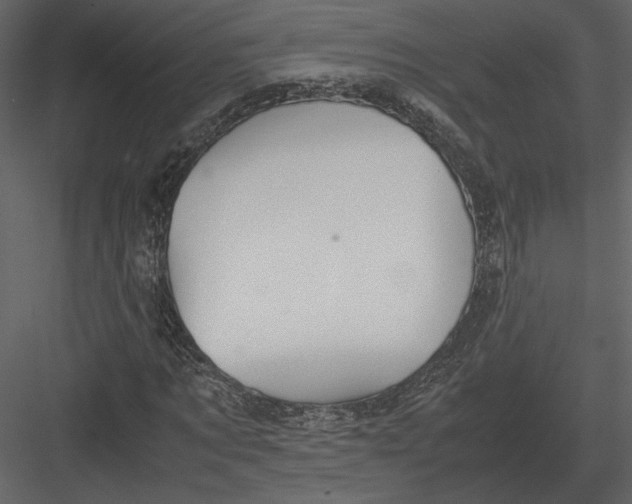 X0000083000869200702230124