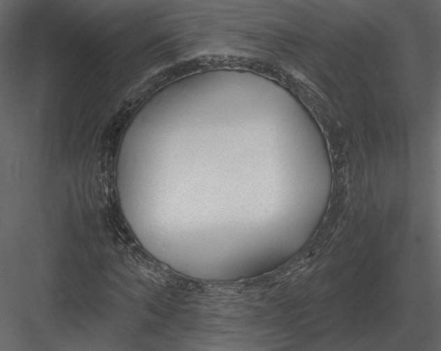 X0000083000870200702230124