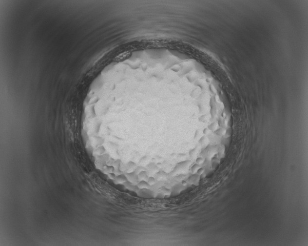 X0000083000871200702230124