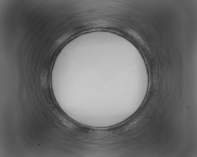 X0000083000873200702230124