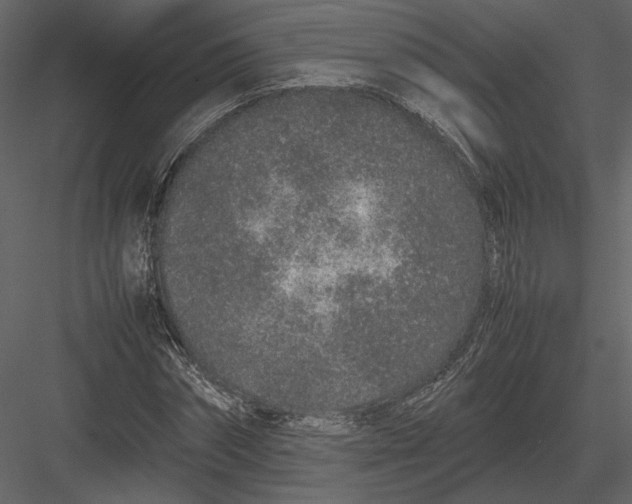 X0000083000874200702230124