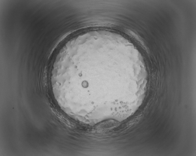 X0000083000875200702230124