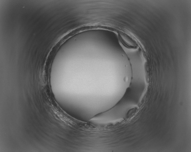 X0000083000876200702230124