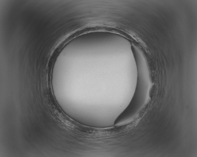 X0000083000877200702230124