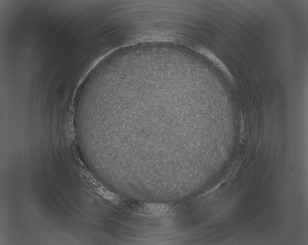 X0000083000878200702230124