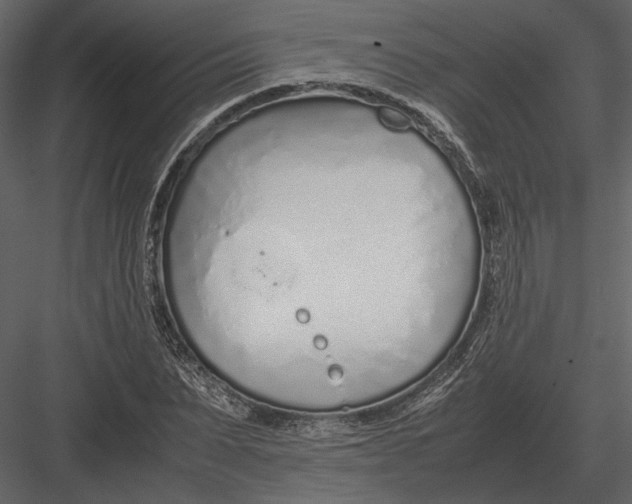 X0000083000879200702230124